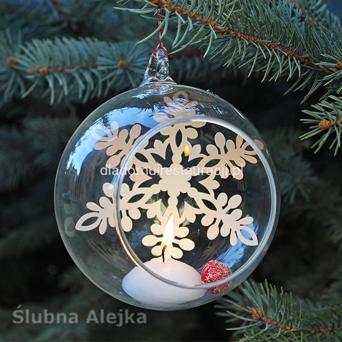 6e243688e1501635e70cd9c2aaa43df4