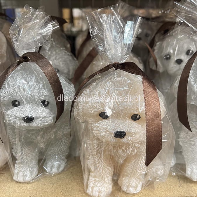 swieca pudel szary 1.jpg