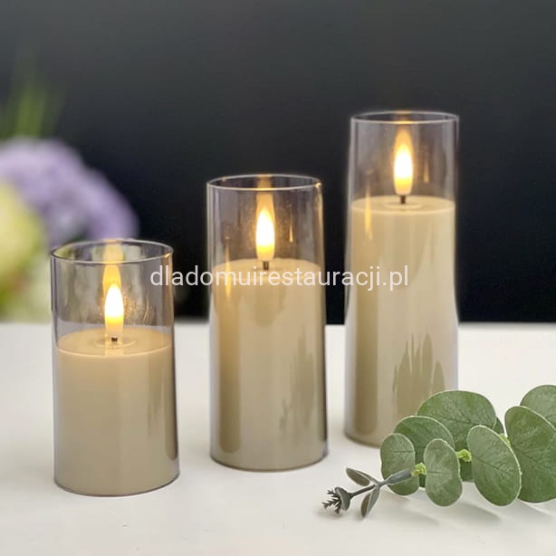 swieca led Ceremony.jpg