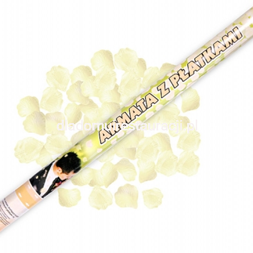 238e8ddaebd45e835c6a82d1104304a9