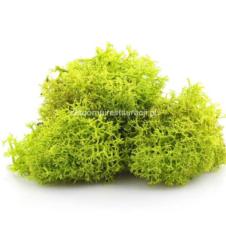 mech wiosenna zieleń jasnozielony 200g.jpg