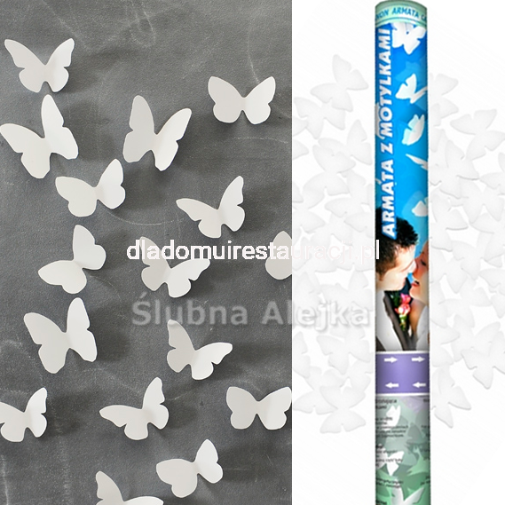 7ae1ba550de6abde8d17255d2abb8586