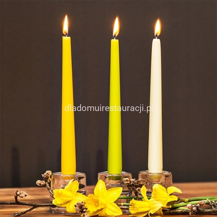 swiece bolsius szpice żółte 12 szt.2.jpg