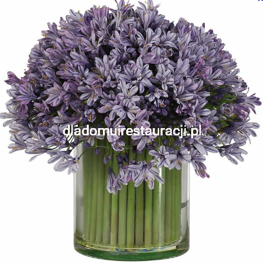 321ab47c68a1d88f33e0e3b2218f2e8a