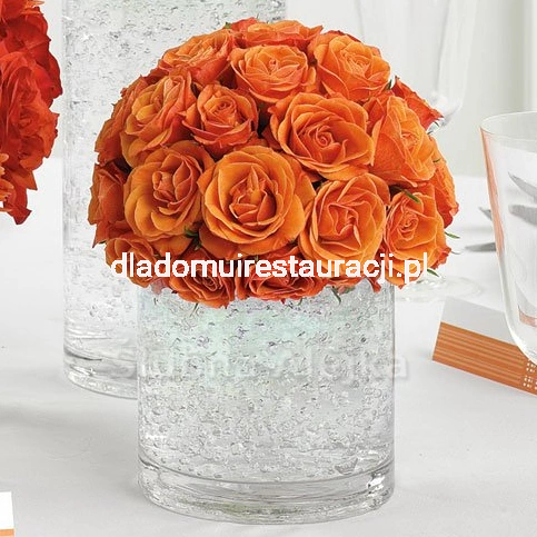 b2197768ba4f5d1b002cb4ea96028879