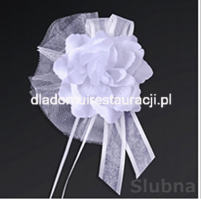 0a41229e8830042997c4204ce1bc4f13