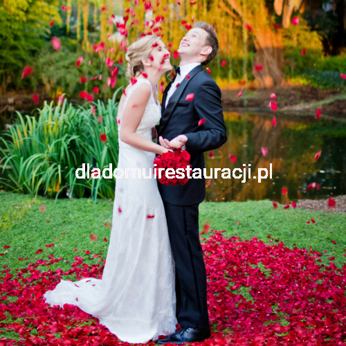 6d338c0e072bec56e6d175cb1508c41d