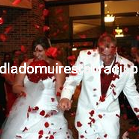 d51057313478c9eb544db36aac1fe72a