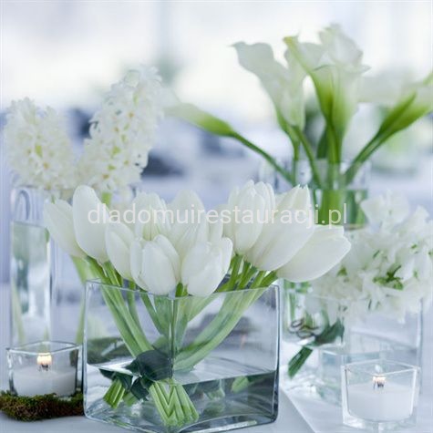 fa1c9a36558997ee37f693124a458ab8