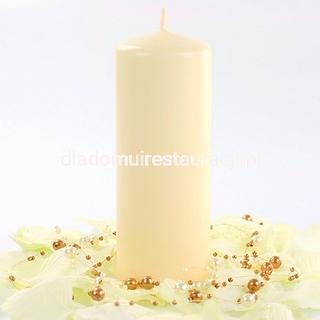 c511ff99dde4e4601a304ff1418a376c