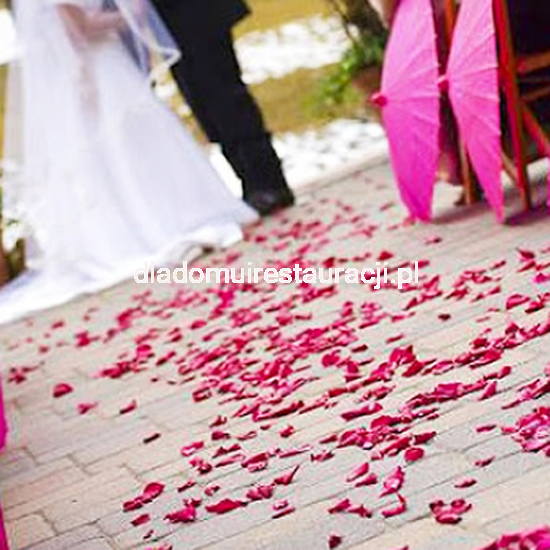 2fd1f2293e50a33e77b710029ee245e6