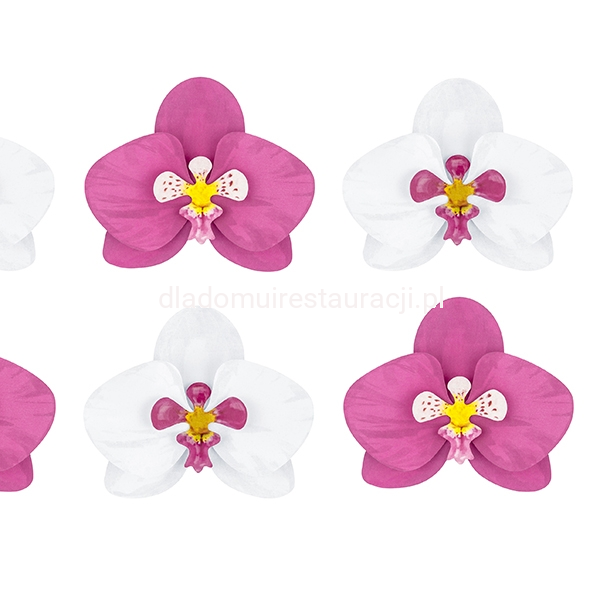 1add5bbd2a01cae8d7d26e9e831149d5