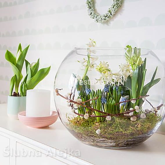 ae80f0ccd0174216da5eb83e1591adb7