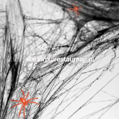 4658500bd7caaa6b5419b4ed58862656