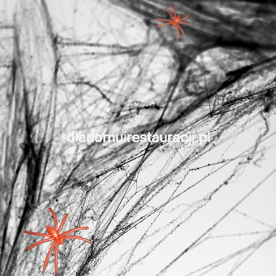 4658500bd7caaa6b5419b4ed58862656