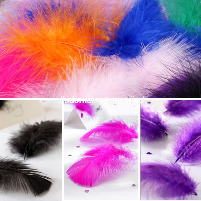 0353bd3e4fa005695664609fe13566f2