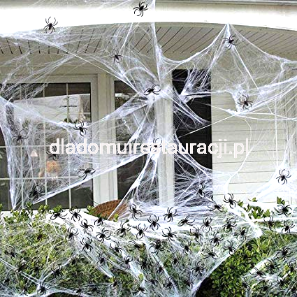 386fa8dbba988f1be374f1b98e4d7227