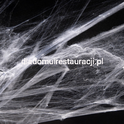 835bdc189616c4f19e32cce26c55927b